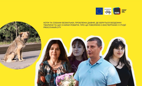Собаки та коти безхатьки – що з нашою мораллю не так? Журналісти пробують вирішити проблему