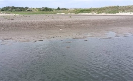 Катастрофа без води: чому Каховське водосховище потрібно повернути