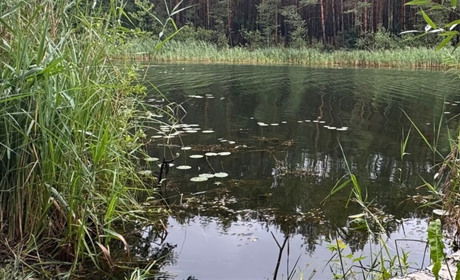 Радіаційний стан навколо Хмельницької АЕС за минулий тиждень