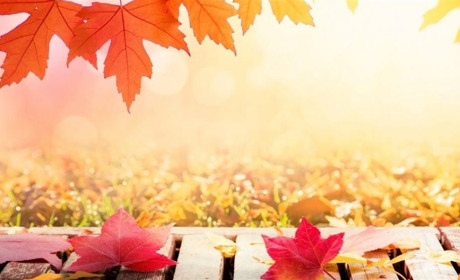 Прогноз погоди на тиждень: дощі Гадяччину оминатимуть