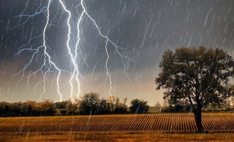 Синоптики Сумщини прогнозують сильний дощ і грозу