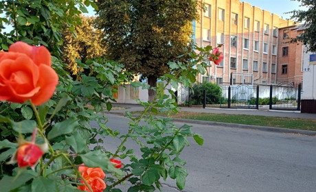 Хмарно, проте, без опадів: якою буде погода у Гадячі цього тижня