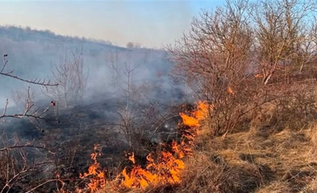 На Шепетівщині за вихідні виявили 10 паліїв сухої трави