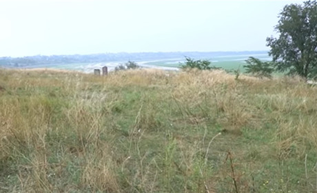 Оаза для Європи: дно Каховського водосховища перетворюється на ліс