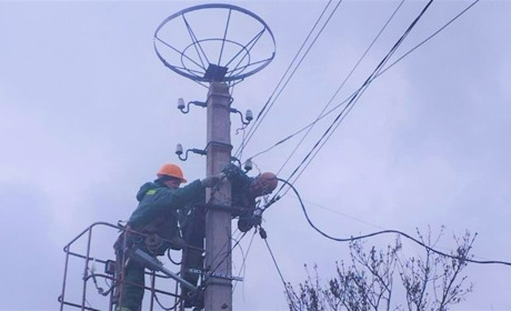 У Сарненському районі встановлюють безпечні гнізда для птахів