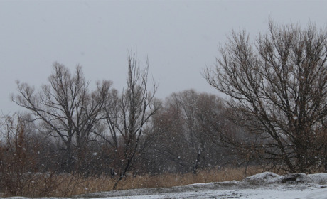 Якою буде погода у Сватовому і районі з 25 лютого по 3 березня