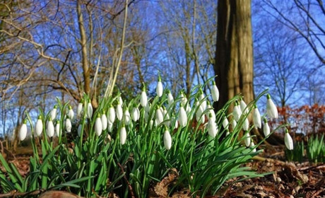 В Україну йде потепління