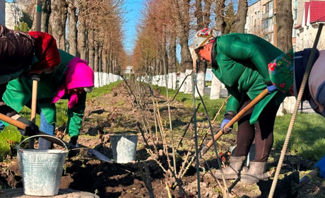 За лаштунками краси: хто щодня робить Старокостянтинів квітучим