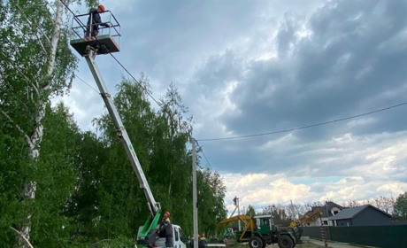 Через негоду на Звягельщині знеструмлені два населені пункти та повалені дерева