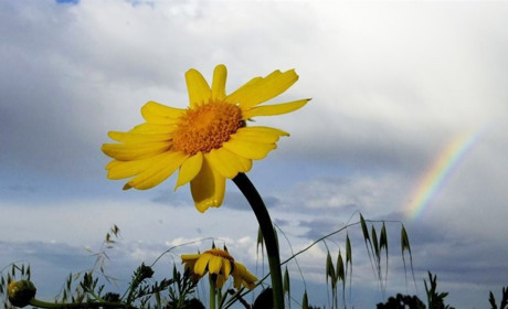 Нарешті - прохолода: невеликі короткочасні дощі, грози та до +27...