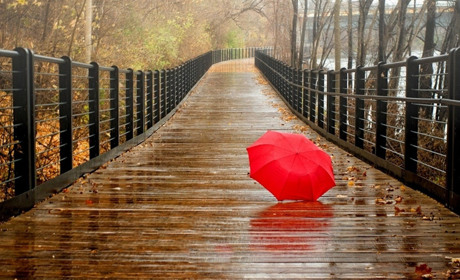 П'ятниця буде з дощами і з поривами вітру: прогноз погоди на найближчі дні