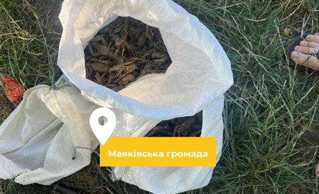 Два жителя села Маяки наловили під час заборони на Дністрі раків на 1 млн грн: одному з них 16 років
