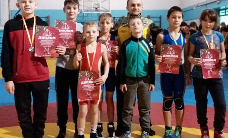 Передноворічні успіхи покровських борців