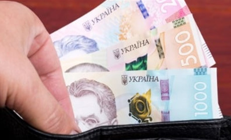 Особливості призначення аліментів від держави
