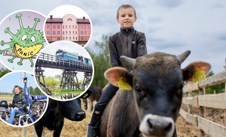 Відпустити «бичка». Про медійні тренди і людей у році, що минає, – редактор сайту Сергій Скібчик