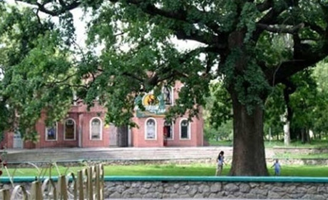 Чим займається КП «Парки Херсона» і скільки на це витрачають коштів з міського бюджету