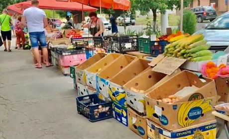 Які ціни на овочі та фрукти в окупованому Бердянську та їх консервувати за відсутності газу