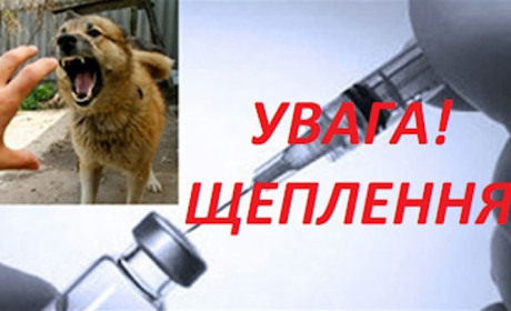 Проводиться вакцинація проти сказу домашніх тварин у Великобурлуцькій ТГ: де можна зробити щеплення?