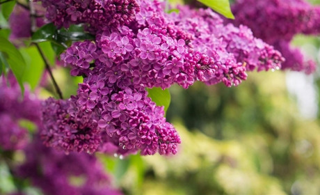 Листая памяти страницы: педагоги школы села Возрождение создали виртуальную книгу ко дню Победы 