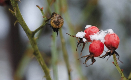 Радіаційний стан навколо Хмельницької АЕС за минулий тиждень