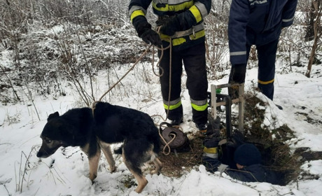 На Фастівщині надзвичайники врятували собаку, який впав у каналізацію