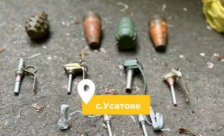 Жителя Одеської області затримали за продаж бойових гранат: у нього вдома виявили арсенал зброї