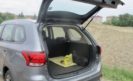 На блокпосту поблизу Сарн зупинили авто з бурштином
