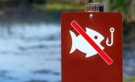 На Полтавщині стартувала заборона на вилов риби в зимувальних ямах: що потрібно знати