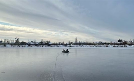 У Сарненському районі рятувальники звільнили з криги лебедів