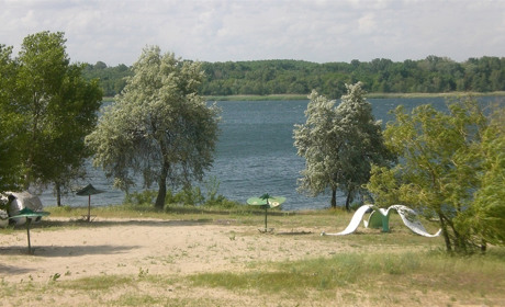 Наказ: дерева не поливати