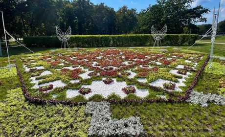 Жива пам’ять у кольорах: у Городку висадять піксельний квітник на честь полеглих Героїв