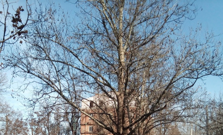 Україну охопить негода