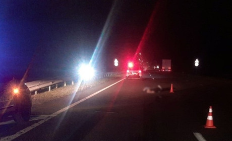 Mercedes-Benz Sprinter на смерть збив звягелянку, яка перетинала проїзну частину дороги