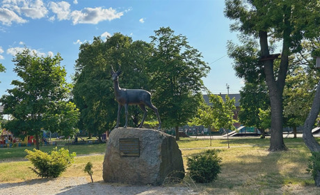 «Сарни — столиця?»: пройди тест на знання рідного міста