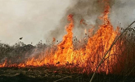 На Красноградщині зросла кількість пожеж сухостою. Тепер за підпал загрожує довічне ув’язнення