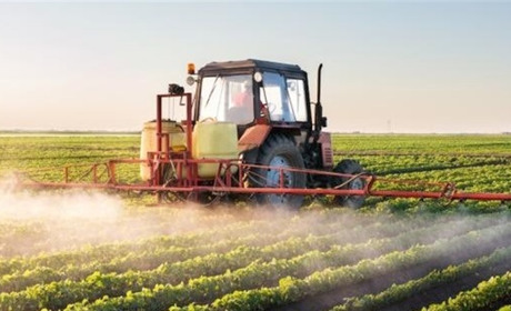 На Глухівщині оброблятимуть пшеничні поля від шкідників. Що потрібно знати бджолярам та жителям?