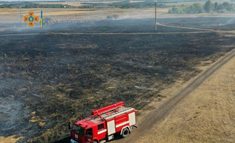 Намагався загасити суху траву: у Краснопавлівці після пожежі шпиталізували хлопця з зупинкою серця