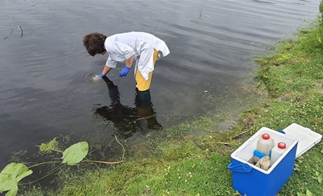 Чому у Виру гине риба і стоїть неймовірний сморід: з'ясують спеціалісти