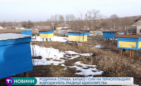 Сімейна справа: на Чортківщині батько і син відроджують бджолярство