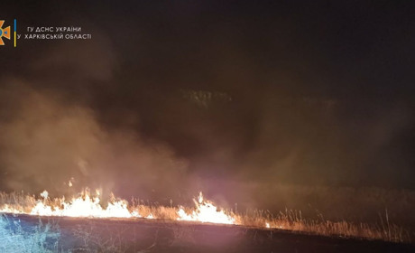 У Лозівському районі сталася чергова пожежа на відкритій території