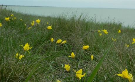 Готові нові пазли! Гайда до розваг з Мелітополь.Сіty!