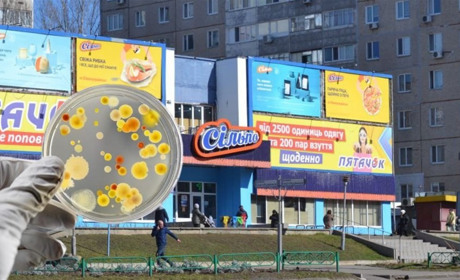 У супермаркеті «Сільпо» в Южноукраїнську виявлено захворювання на сальмонельоз. Відео