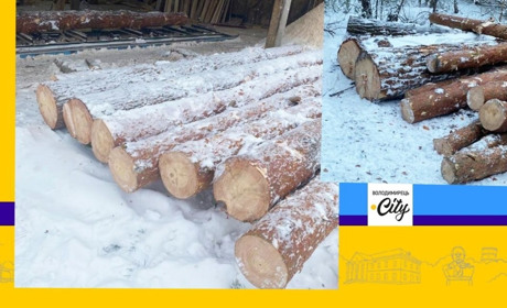 В селі Бутове виявили незаконно вирубану деревину, на якій було відсутнє маркування