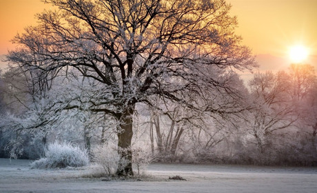 Найближчими днями на Сумщині ожеледиця та без істотних опадів: прогноз погоди