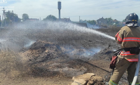 Поблизу Одеси та одночасно в інших районах Одещини масштабні пожежі: горить суха рослинність (фото)