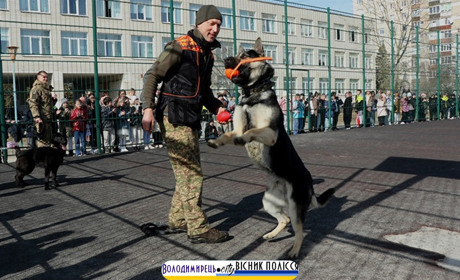 Гвардійські кінологи завітали до школярів Вараша