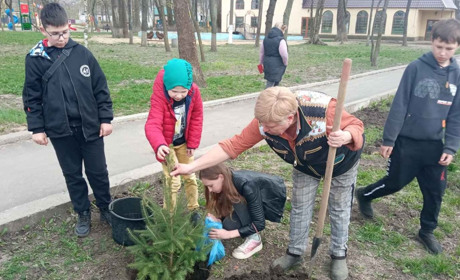 Зелена ініціатива: вихованці Балтського ЦПТ виростили й висадили в місті хвойні дерева