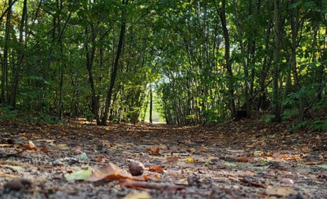 Нові тарифи на електроенергію та виплати для ВПО: яких змін очікувати українцям з листопада