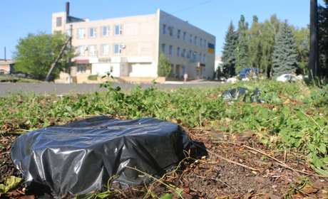 В Попасной уничтожают пни деревьев, не выкорчевывая их: как это делают