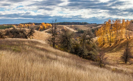 Незаконно відчужені: прокуратура хоче повернути Ржищівщині землі регіонального ландшафтного парку